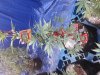 20170901_074442.jpg