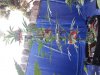20170901_074531.jpg