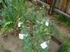 DSCN1211.jpg
