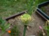 DSCN1216.jpg