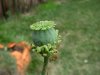 DSCN1218.jpg
