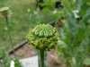DSCN1217.jpg