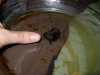 DSCN1298.jpg