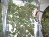 100_7338.jpg