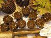 Mossys seeds 016.jpg