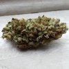 20170513_084524.jpg