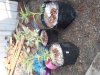 20170902_075442.jpg