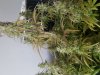 20170902_133510.jpg