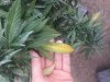 20170903_075344.jpg
