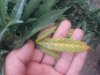 20170903_075349.jpg