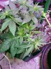 20170906_124637_1504723677342.jpg