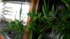 20170910_074501.jpg