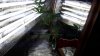 20170910_075058.jpg