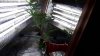 20170910_075213.jpg