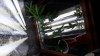 20170910_075421.jpg