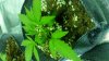 20170910_101021.jpg