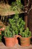 GROW-6415.jpg