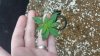20170914_103017.jpg