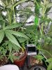 20170917_141320.jpg