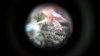 20170916_073428.jpg