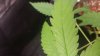 20170918_182227.jpg
