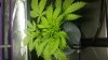 20170918_221740.jpg