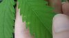 20170920_093625.jpg