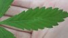 20170920_093539.jpg