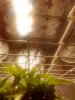 IMG_20170918_141524418_HDR.jpg