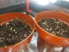 20170921_031823.jpg