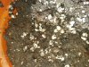 20170919_164702.jpg