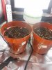 20170920_173849.jpg