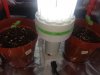 20170925_053208.jpg