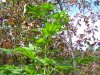 100_7552.jpg
