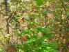 100_7553.jpg