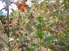 100_7554.jpg