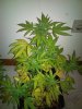 DSC00059.jpg