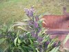 100_7612.jpg