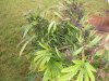 100_7613.jpg