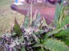 100_7616.jpg