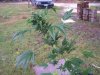 100_7649.jpg