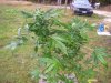 100_7652.jpg