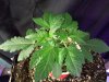 100_0429.jpg