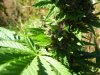 100_7691.jpg
