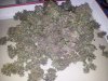 20121023_210626.jpg