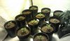 2012-03-07 15.26.42.jpg