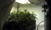 2012-03-19 15.00.58.jpg