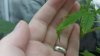 20171001_090445.jpg