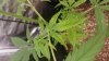 20171001_084729.jpg