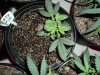 DSC01672.JPG